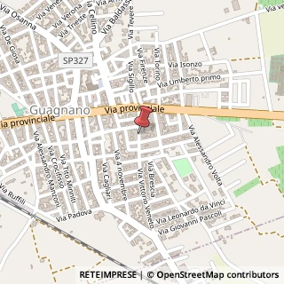 Mappa Via Vittorio Veneto, 32, 73010 Guagnano, Lecce (Puglia)