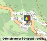 Comuni e Servizi Comunali,32020Belluno