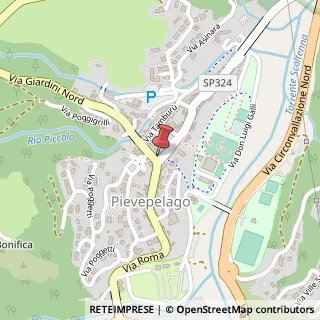 Mappa Via Roma, 66, 41027 Pievepelago, Modena (Emilia Romagna)