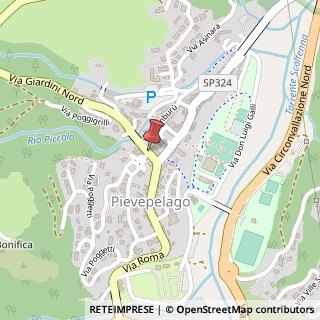 Mappa Via Roma,  23, 41027 Pievepelago, Modena (Emilia Romagna)