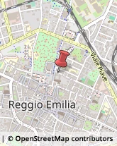 Via Padre Angelo Secchi, 8/A,42100Reggio nell'Emilia