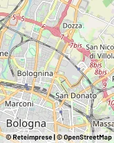 Vivai Piante e Fiori Bologna,40139Bologna