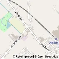 Kort Alfonsine