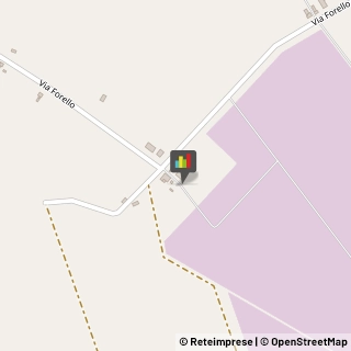 Caseifici Lugo,48100Ravenna