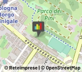 Frutta e Verdura - Dettaglio Bologna,40132Bologna