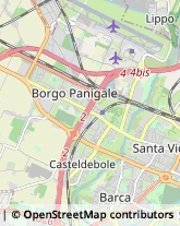 Autotrasporti Bologna,40132Bologna