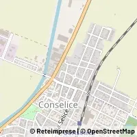 지도 Conselice