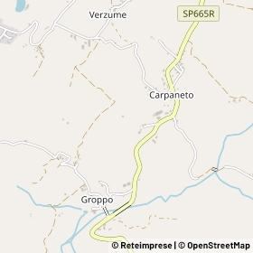 Mappa 43028