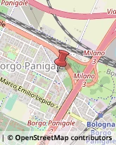 Via Panigale, 74,40132Bologna