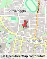 Via Nicolò Dall'Arca, 48/E,40128Bologna