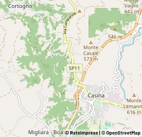 Mappa 42034 Casina RE, Italia (0.929)