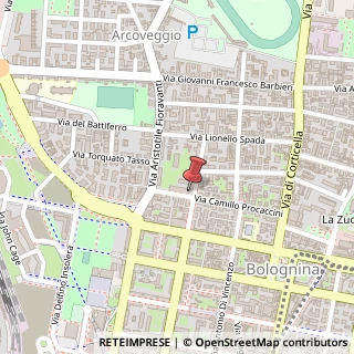 Mappa Via Camillo Procaccini, 17b, 40129 Bologna, Bologna (Emilia Romagna)