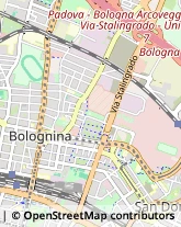 Via Emilia Levante, 176,40139Bologna