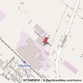 Mappa Via della Cooperazione, 5, 48011 Alfonsine, Ravenna (Emilia Romagna)