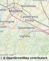 Frutta e Verdura - Dettaglio Castelnuovo Rangone,41051Modena