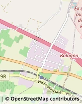 Via P. Turrini, 9,40011Anzola dell'Emilia