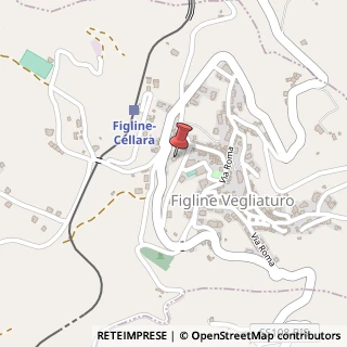 Mappa Via Stazione, 18, 87050 Figline Vegliaturo, Cosenza (Calabria)