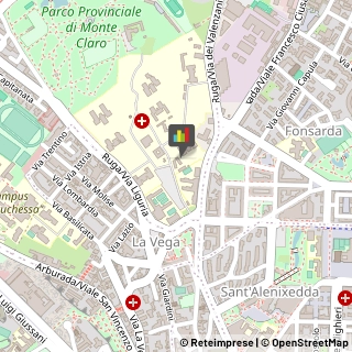 Gerontologia e Geriatria - Medici specialisti,09121Cagliari