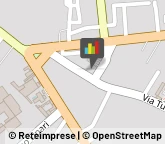Supermercati e Grandi magazzini,91025Trapani
