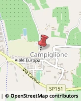 Autotrasporti Campiglione-Fenile,10060Torino