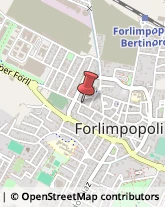 Consulenza di Direzione ed Organizzazione Aziendale Forlimpopoli,47034Forlì-Cesena