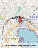 Notai Rapallo,16035Genova