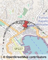 Istituti Finanziari Rapallo,16035Genova