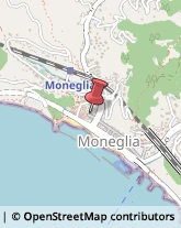 Rosticcerie e Salumerie Moneglia,16030Genova