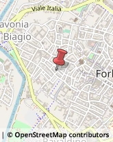 Erboristerie Forlì,47121Forlì-Cesena