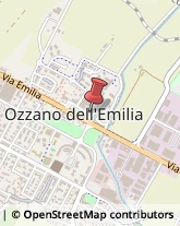 Frutta e Verdura - Dettaglio Ozzano dell'Emilia,40064Bologna