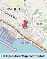 Notai Lavagna,16033Genova