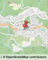 Tour Operator e Agenzia di Viaggi San Marcello Piteglio,51028Pistoia