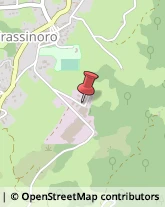 Autofficine e Centri Assistenza Frassinoro,41044Modena