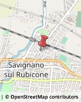 Pelletterie - Ingrosso e Produzione Savignano sul Rubicone,47039Forlì-Cesena