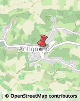 Alimentari Antignano,14010Asti