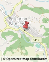 Farmacie Pellegrino Parmense,43047Parma