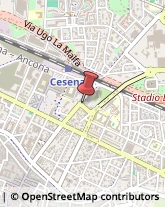 Feste - Organizzazione e Servizi Cesena,47023Forlì-Cesena