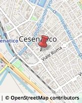 Commercialisti Cesenatico,47042Forlì-Cesena