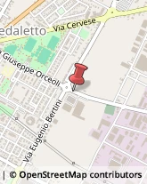 Autonoleggio Forlì,47122Forlì-Cesena