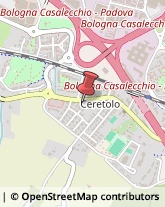 Discoteche - Locali e Ritrovi Casalecchio di Reno,40033Bologna