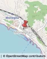 Pescherie Moneglia,16030Genova