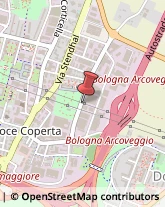 Borse - Dettaglio Bologna,40128Bologna