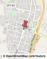 Abbigliamento Carignano,10041Torino