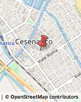 Assicurazioni Cesenatico,47042Forlì-Cesena