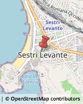 Pelli per Abbigliamento Sestri Levante,16039Genova