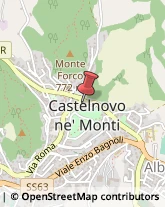 Cooperative Produzione, Lavoro e Servizi Castelnovo Ne' Monti,42035Reggio nell'Emilia