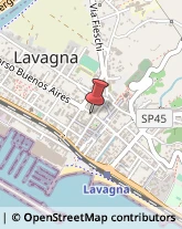 Assicurazioni Lavagna,16033Genova