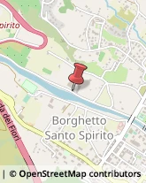 Aziende Agricole Borghetto Santo Spirito,17052Savona