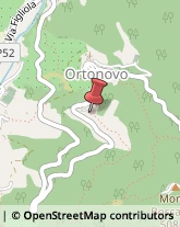 Torni Ortonovo,19034La Spezia