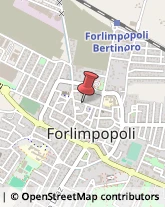 Elettricisti Forlimpopoli,47034Forlì-Cesena